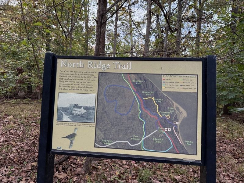 North Ridge Trail Marker image. Click for full size.