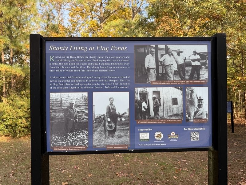 Shanty Living at Flag Ponds Marker image. Click for full size.