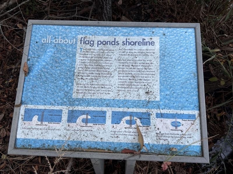 All About Flag Ponds Shoreline Marker image. Click for full size.