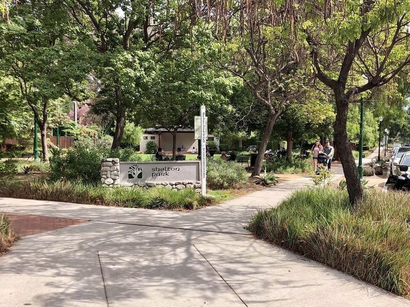 Shelton Park image. Click for full size.