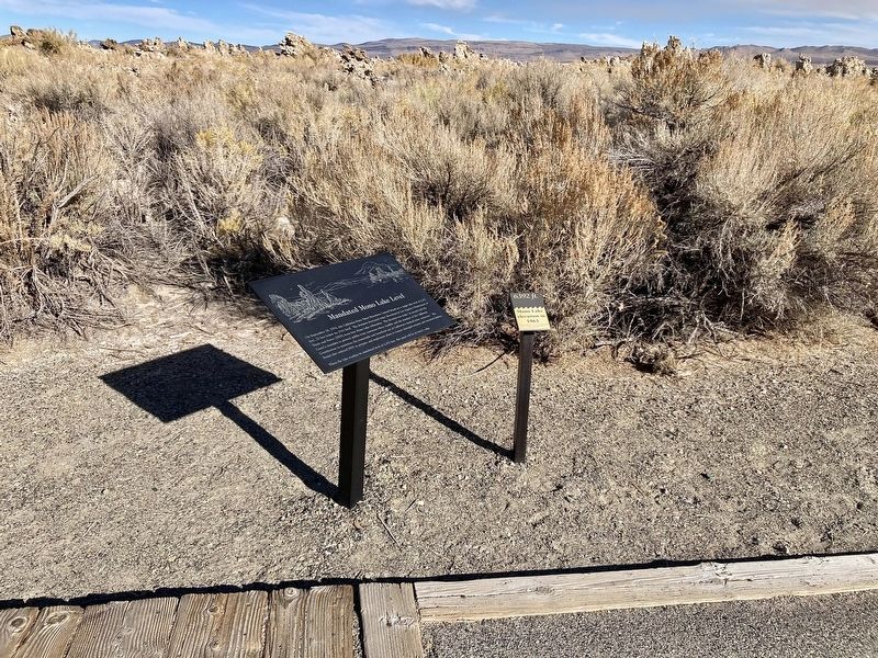 Mono Lake Level Markers image. Click for full size.