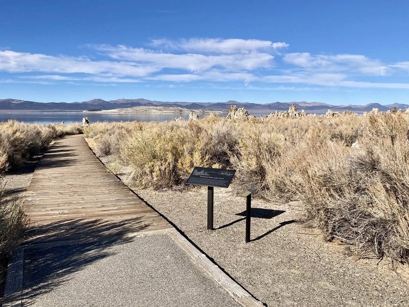 Mono Lake Level Markers image. Click for full size.
