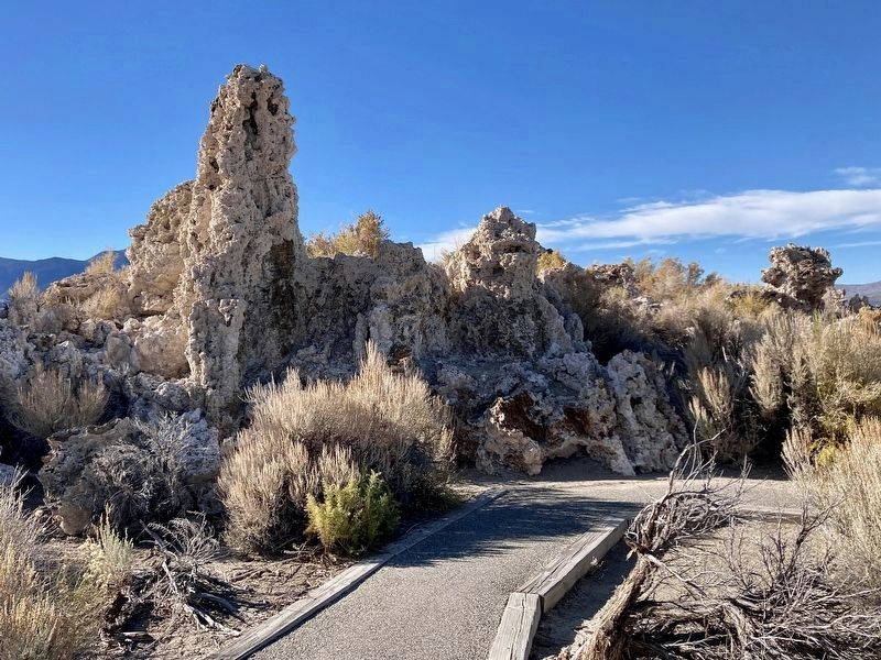 Petrified Springs (Tufa) image. Click for full size.