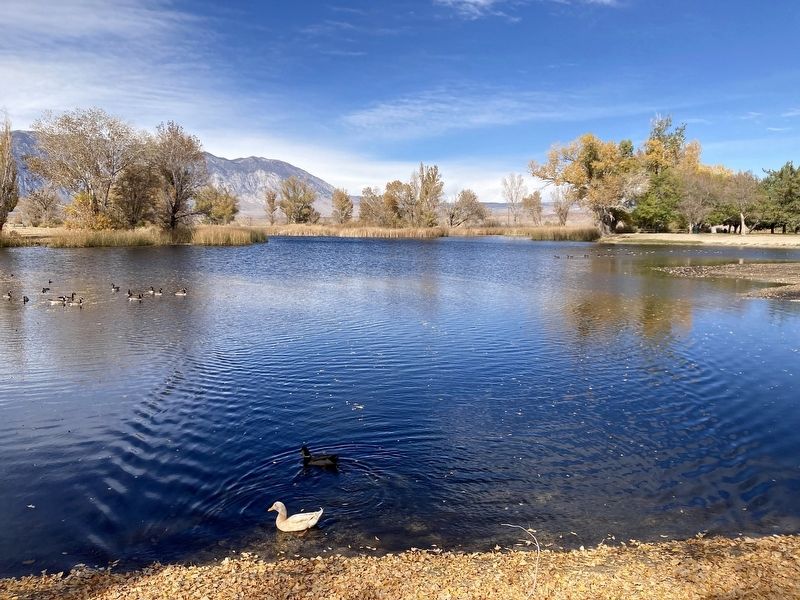 Millpond Recreation Area image. Click for full size.