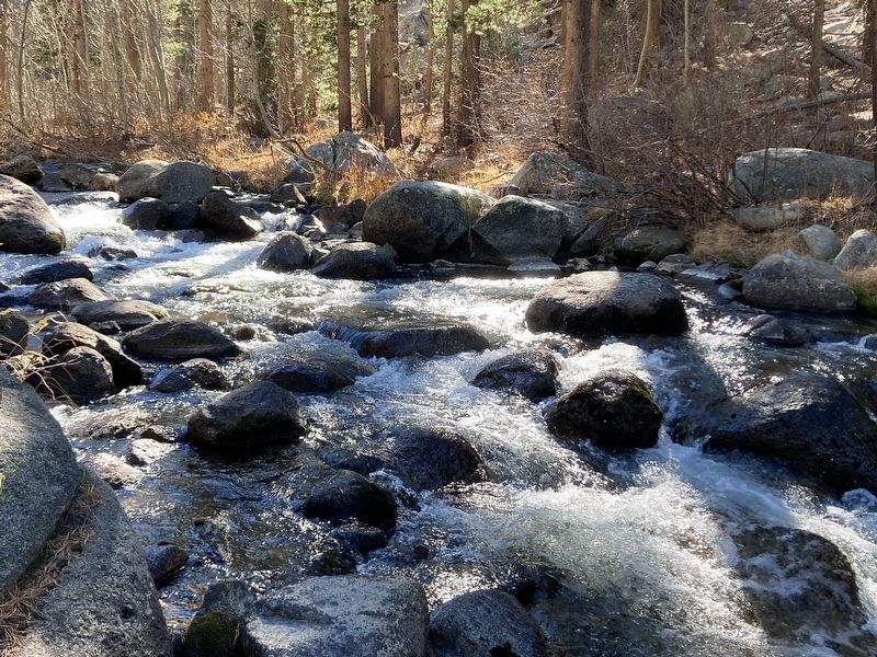 South Fork Bishop Creek image. Click for full size.