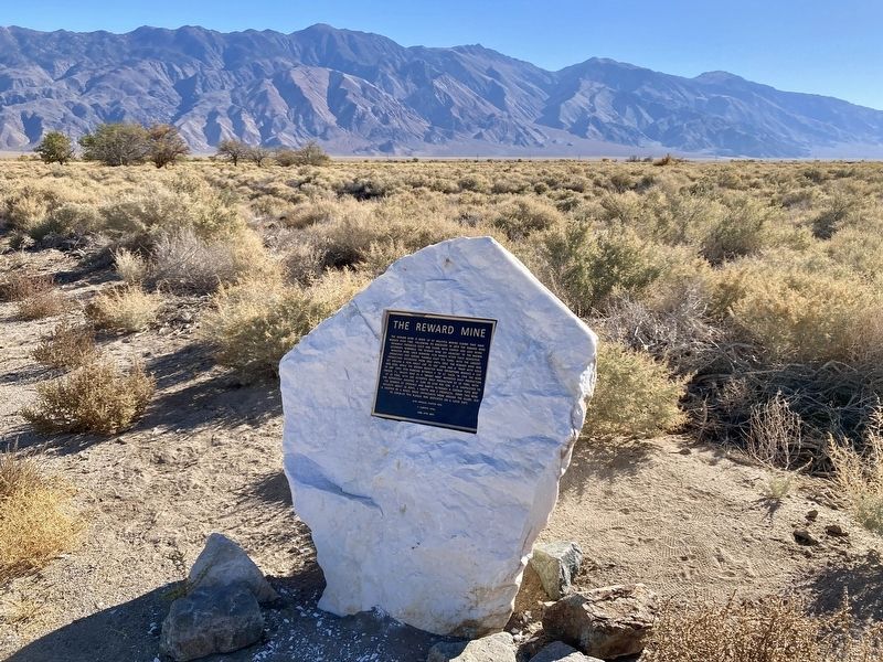 Reward Mine Marker. Click for full size. Reward Mine Marker image. Click for full size.