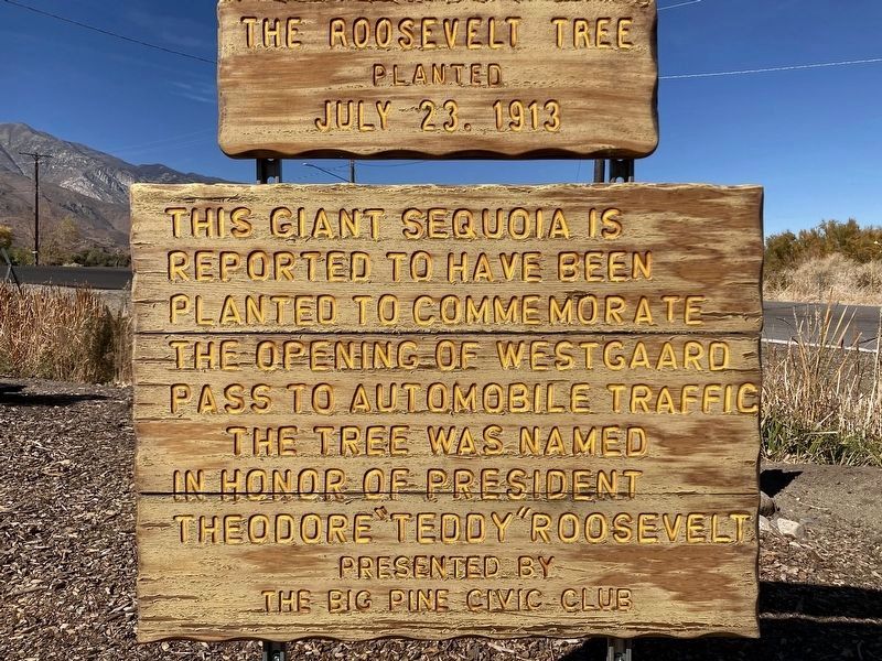 The Roosevelt Tree Marker image. Click for full size.