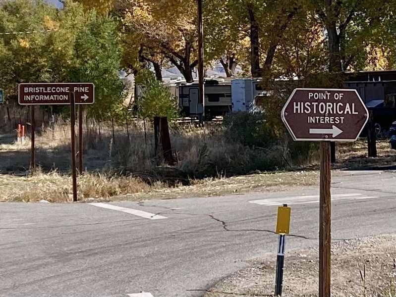 Street Signs image. Click for full size.