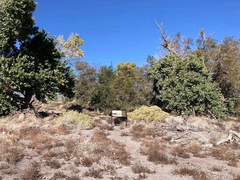 Shepherd Ranch Marker image. Click for full size.