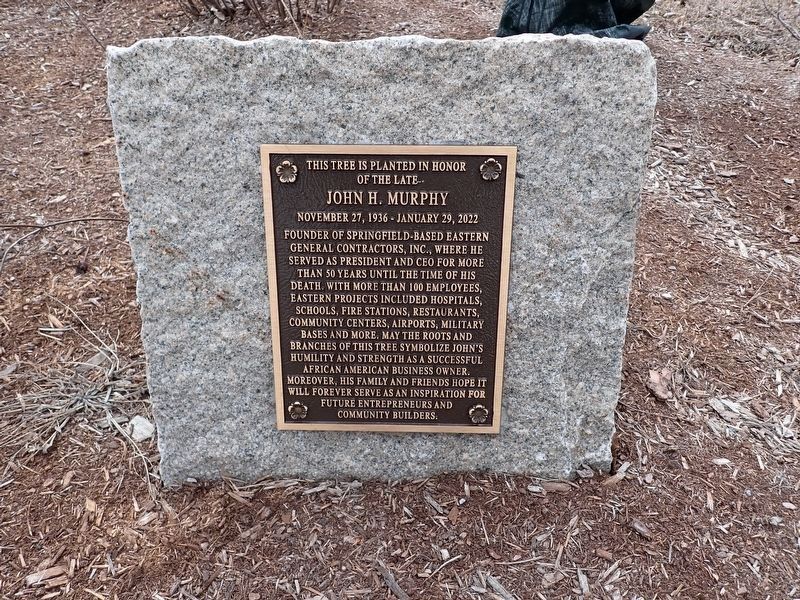 John H. Murphy Tree Marker. Click for full size. John H. Murphy Tree Marker image. Click for full size.