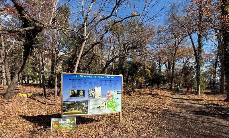 A History of 'The Beach' Marker image. Click for full size.