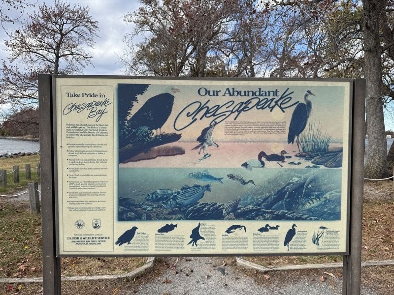 Our Abundant Chesapeake side of the marker image. Click for full size.