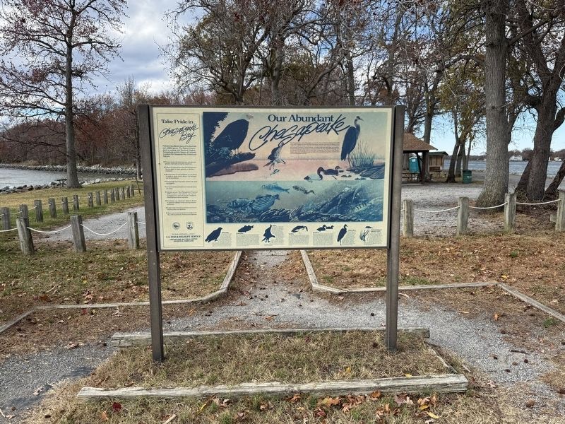Thomas Point / Our Abundant Chesapeake Marker image. Click for full size.