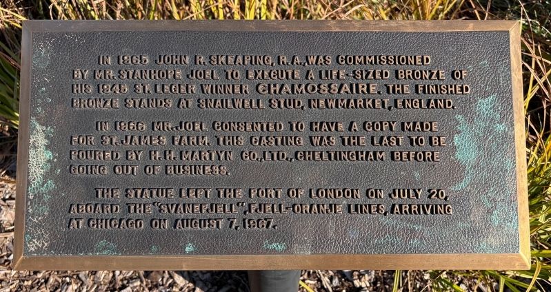 Chamossaire Statue Marker image. Click for full size.