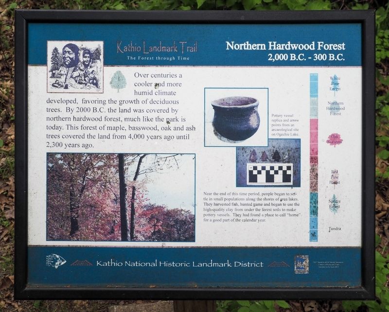 Northern Hardwood Forest Marker. Click for full size. Northern Hardwood Forest Marker image. Click for full size.