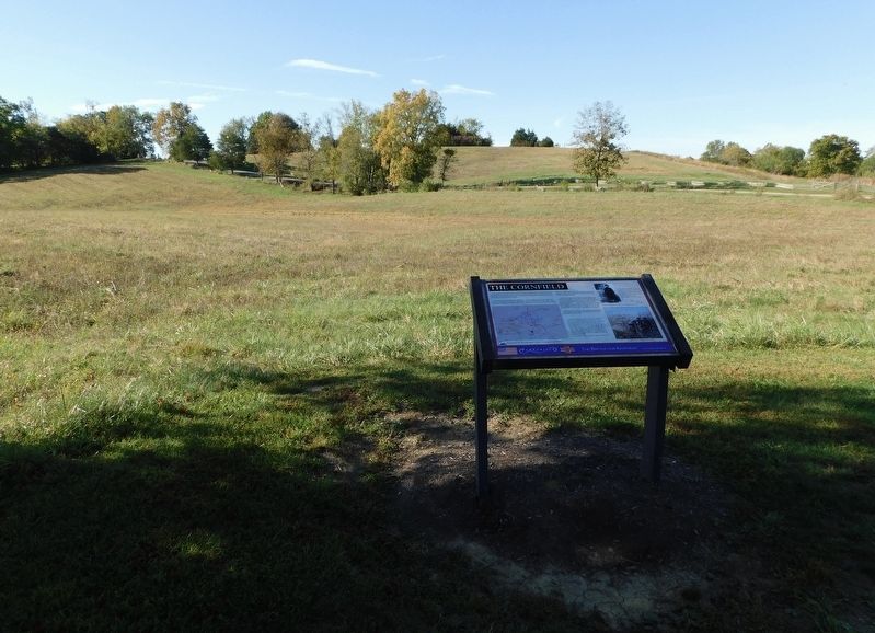 The Cornfield Marker. Click for full size. The Cornfield Marker image. Click for full size.
