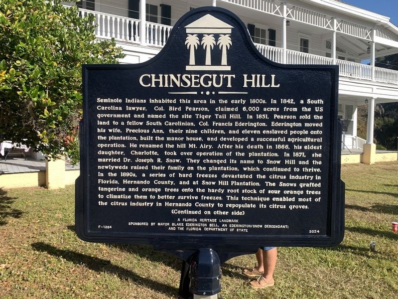Chinsegut Hill Marker, Side One image. Click for full size.