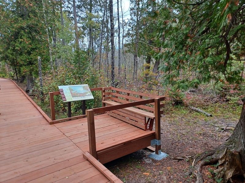 This Forest / Out of Wilderness Into Wilderness Marker. Click for full size. This Forest / Out of Wilderness Into Wilderness Marker image. Click for full size.