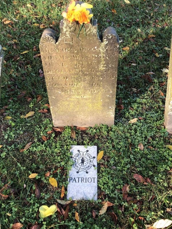 Gavin Adams Gravesite image. Click for full size.