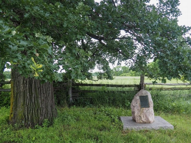 Lucy Earle Kelley Marker beneath an oak at the Oliver Kelley Farm. Click for full size. Lucy Earle Kelley Marker beneath an oak at the Oliver Kelley Farm image. Click for full size.