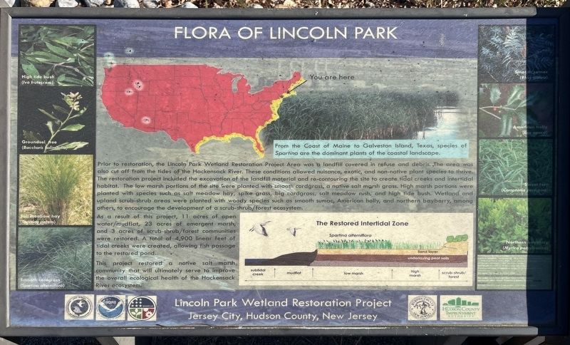 Flora of Lincoln Park Marker image. Click for full size.
