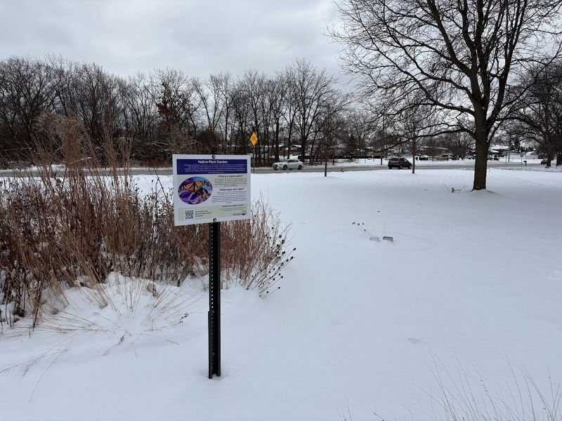 Native Plant Garden. Click for full size. Native Plant Garden image. Click for full size.