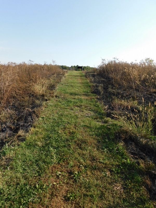 Approaching the Jones' Ridge Marker from the Southwest image. Click for full size.