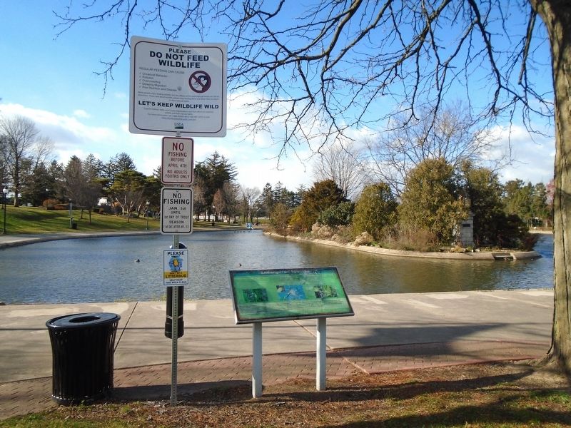Endangered Species Marker Overlooking Kiwanis Lake. Click for full size. Endangered Species Marker Overlooking Kiwanis Lake image. Click for full size.