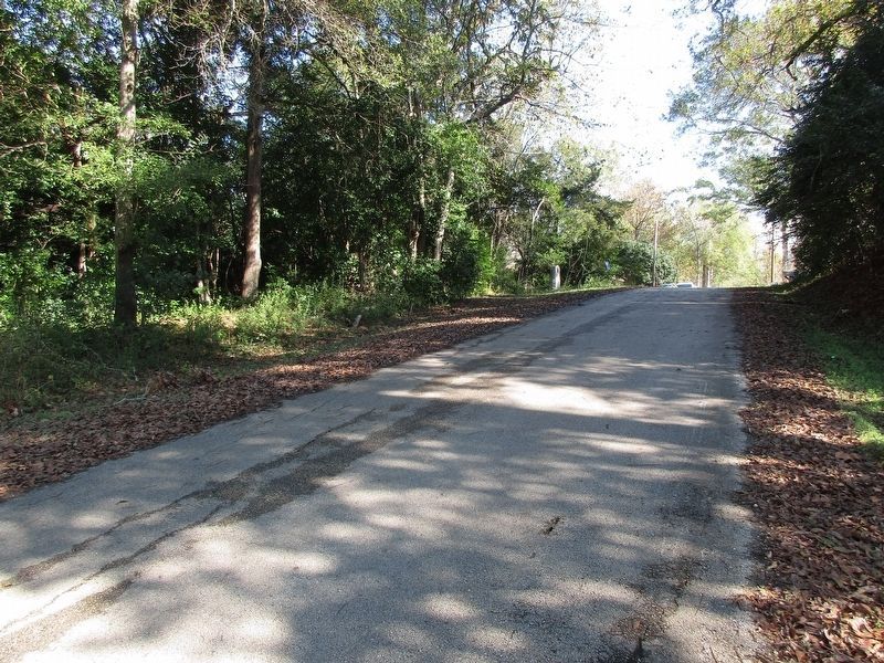 Site of San Augustine University Marker. Click for full size. Site of San Augustine University Marker image. Click for full size.