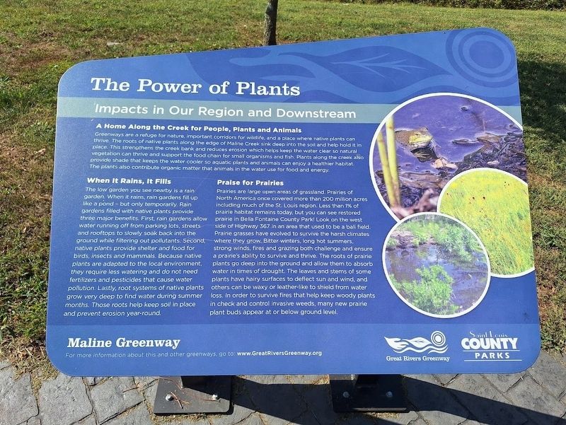 The Power of Plants Marker image. Click for full size.