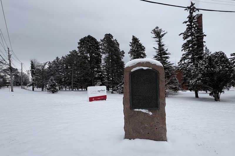 Kanadesaga Marker. Click for full size. Kanadesaga Marker image. Click for full size.