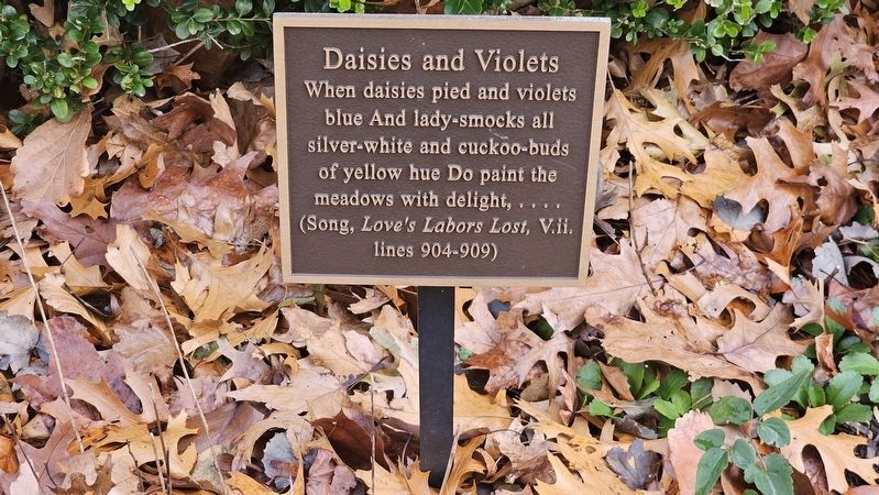 Daisies and Violets image. Click for full size.