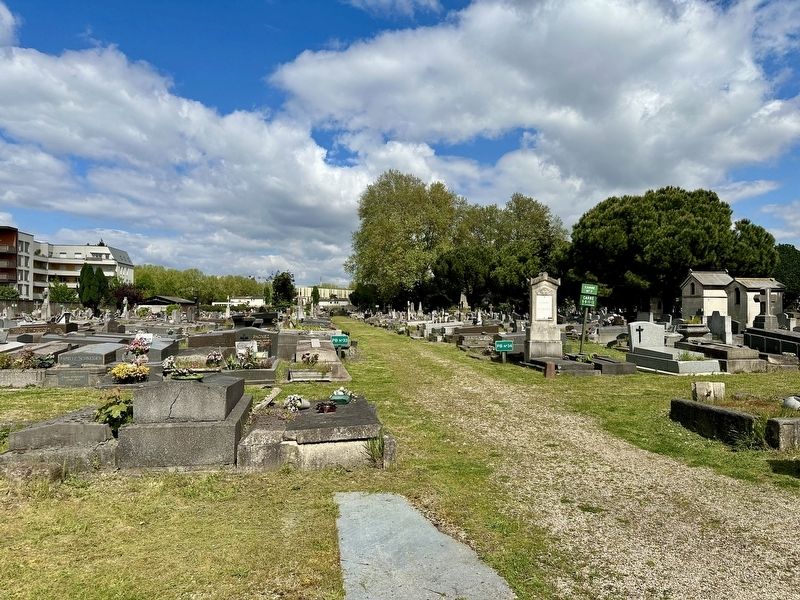 The Cemetery - general view, looking north image. Click for full size.