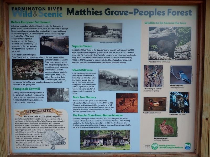 Matthies Grove-Peoples Forest Marker image. Click for full size.
