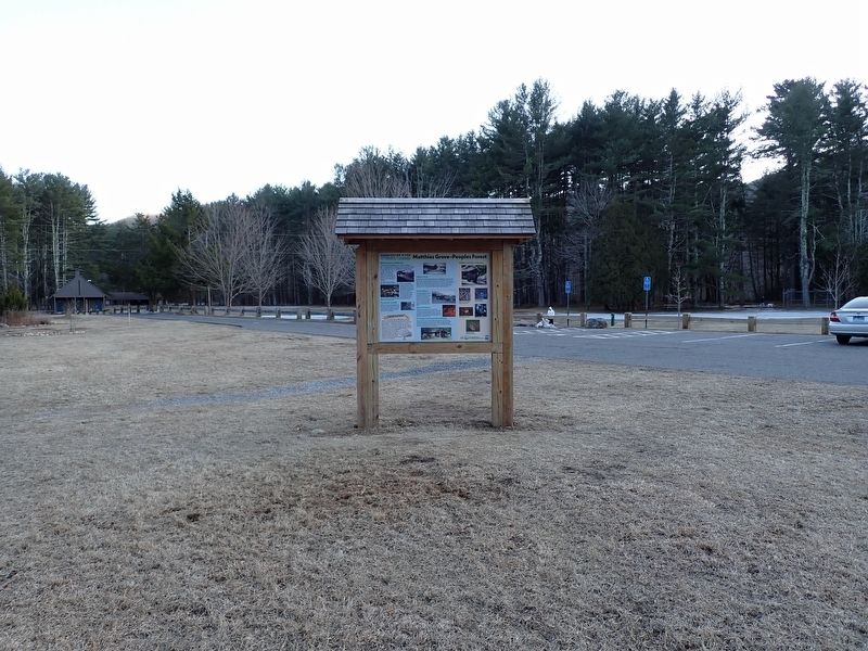Matthies Grove-Peoples Forest Marker image. Click for full size.
