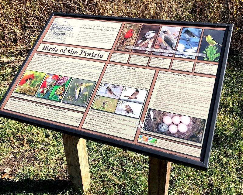 Birds of the Prairie Marker image. Click for full size.