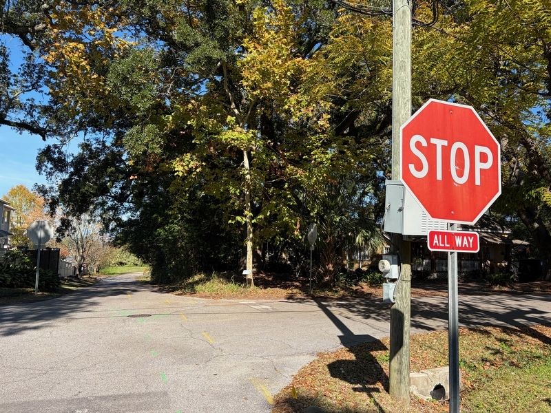 The Indian Springs Historic District Marker. Click for full size. The Indian Springs Historic District Marker image. Click for full size.