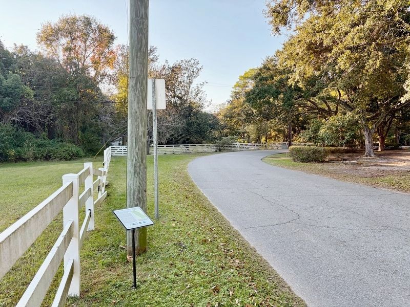 The Lover's Lane Historic District and Marker.. Click for full size. The Lover's Lane Historic District and Marker. image. Click for full size.
