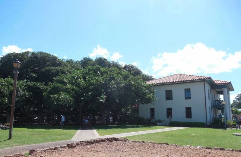 Lahaina Court and Custom House Marker. Click for full size. Lahaina Court and Custom House Marker image. Click for full size.