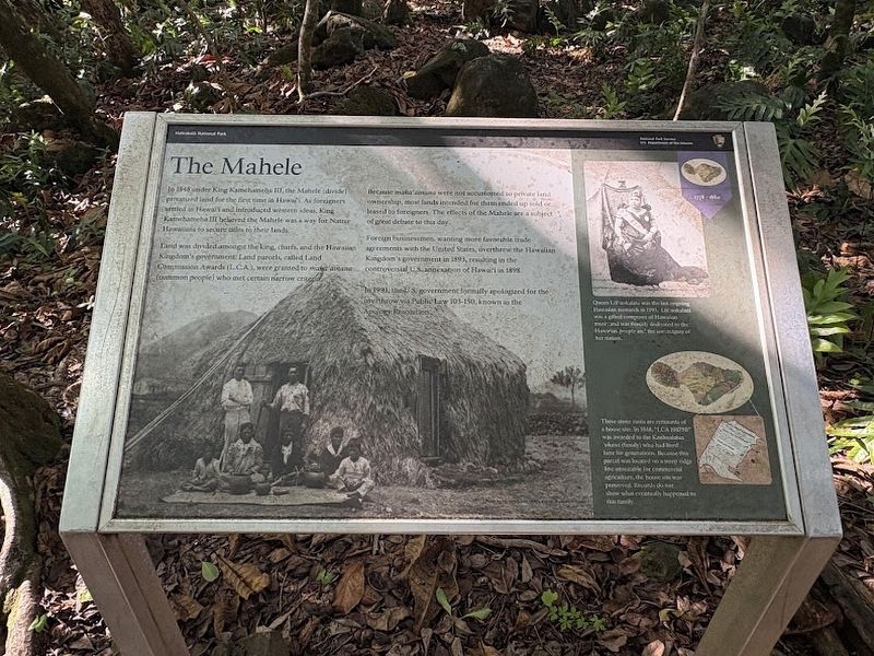 The Mahele Marker image. Click for full size.