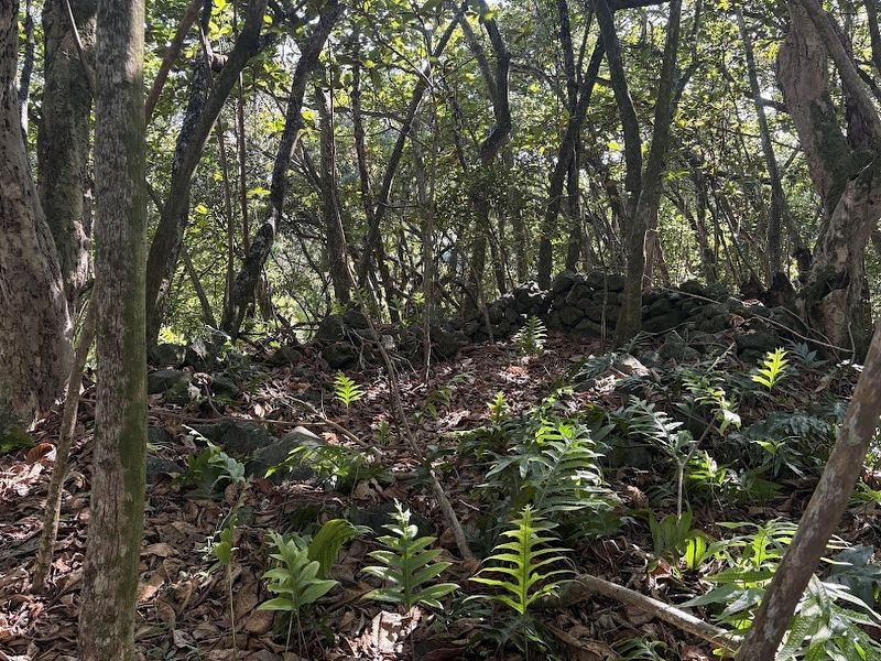 House site ruins mentioned in the marker. image. Click for full size.