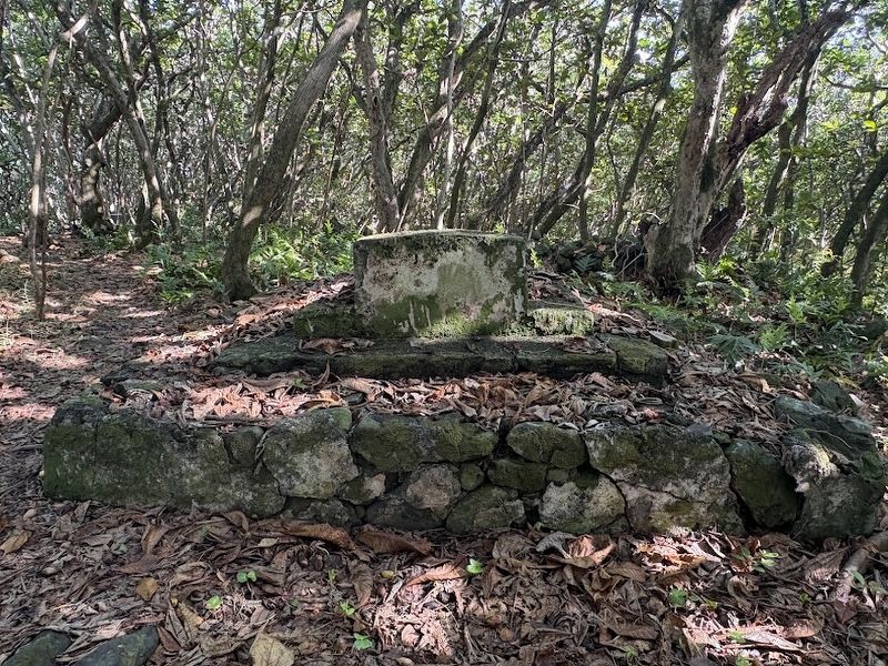 House site ruins mentioned in the marker image. Click for full size.
