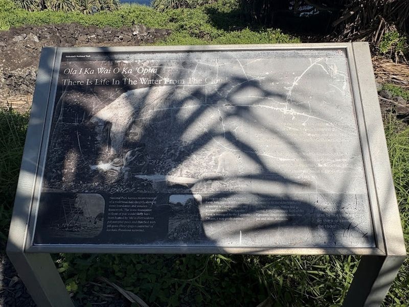 Ola I Ka Wai O Ka 'Opua or There is Life in the Water From the Clouds Marker image. Click for full size.