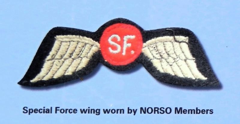 Marker detail: Special Force wing worn by NORSO Members image. Click for full size.