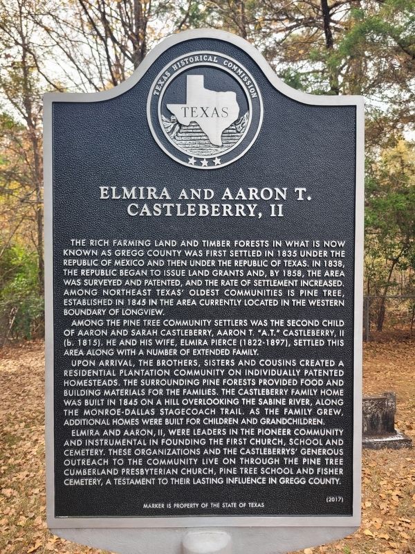 Castleberry Marker image. Click for full size.
