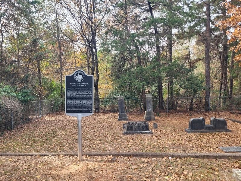 Castleberry Marker and family plot image. Click for full size.