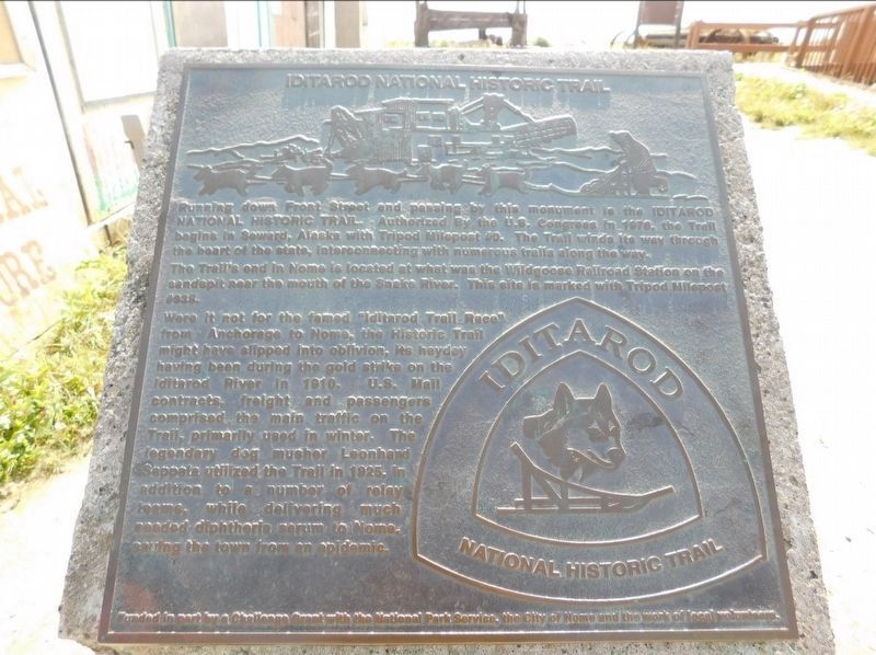 Iditarod National Historic Trail Marker. Click for full size. Iditarod National Historic Trail Marker image. Click for full size.