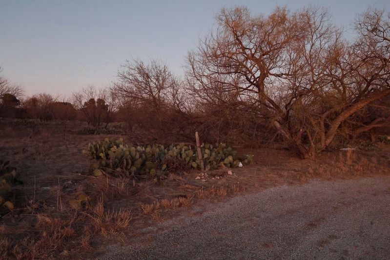 Missing Burkett Pecan Tree marker image. Click for full size.