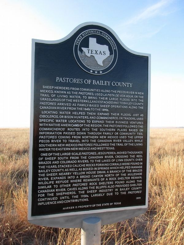 <i>Pastores</i> of Bailey County Marker. Click for full size. <i>Pastores</i> of Bailey County Marker image. Click for full size.
