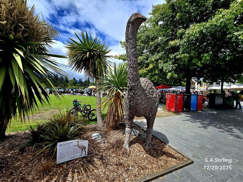 New Zealand Moa Marker. Click for full size. New Zealand Moa Marker image. Click for full size.
